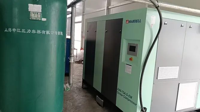 Le professionnalisme gagne la confiance : les ingénieurs de Yuzhen ont terminé avec succès l'installation et la mise en service du système de compresseur d'air Hanbell dans une usine de conteneurs d'emballage des Émirats arabes unis